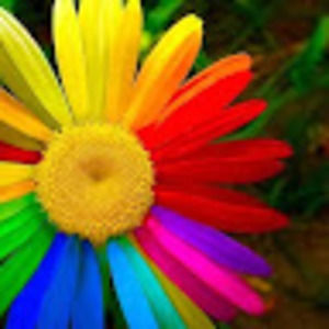 Meet your Posher, Julissa